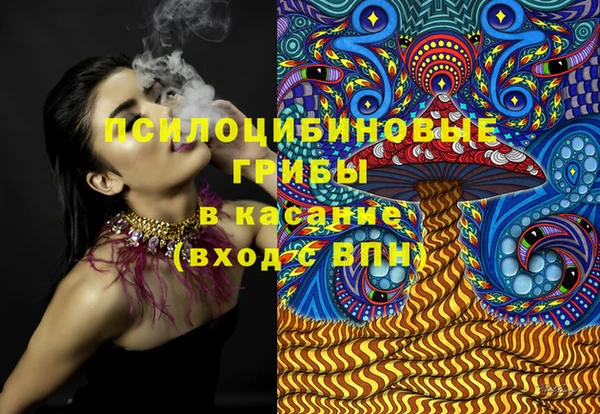спайс Алексин
